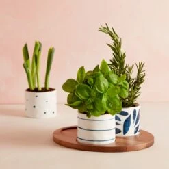 Lenox Blue Bay 4-Piece Snack Bowl & Tray Set -Tableware Store 890207 LNP S21 FEA 3